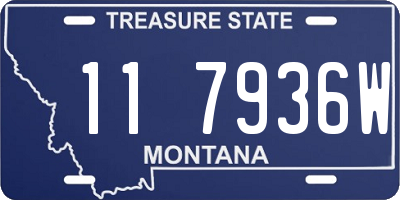 MT license plate 117936W