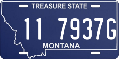 MT license plate 117937G