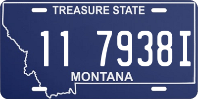 MT license plate 117938I