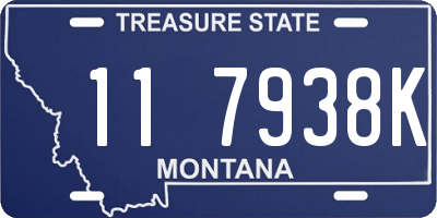 MT license plate 117938K