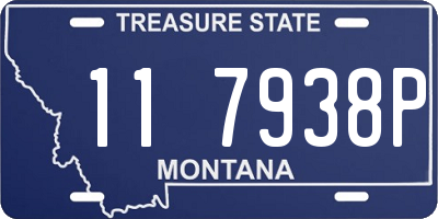 MT license plate 117938P