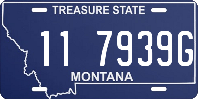 MT license plate 117939G
