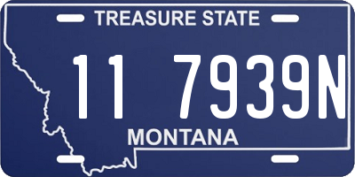 MT license plate 117939N