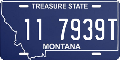 MT license plate 117939T