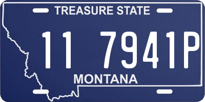 MT license plate 117941P
