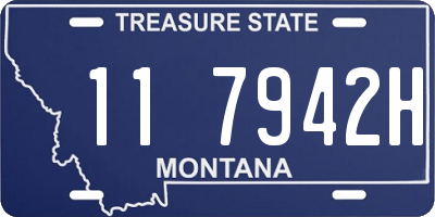 MT license plate 117942H