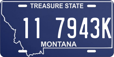 MT license plate 117943K
