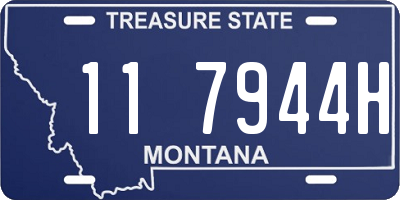 MT license plate 117944H