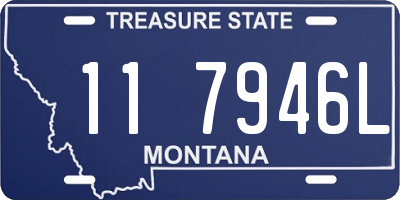 MT license plate 117946L
