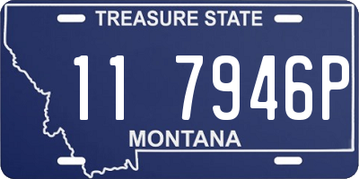 MT license plate 117946P