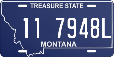 MT license plate 117948L