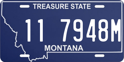 MT license plate 117948M