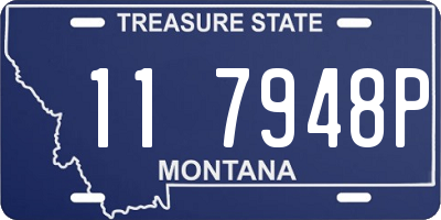 MT license plate 117948P