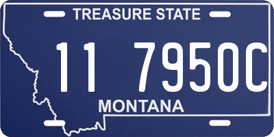 MT license plate 117950C