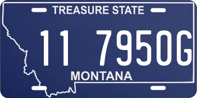 MT license plate 117950G