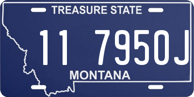 MT license plate 117950J