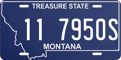MT license plate 117950S