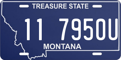MT license plate 117950U