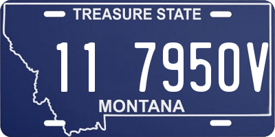 MT license plate 117950V
