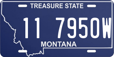 MT license plate 117950W