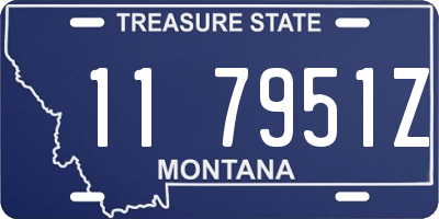 MT license plate 117951Z