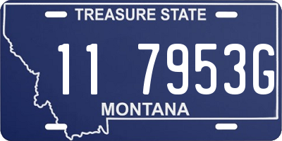 MT license plate 117953G
