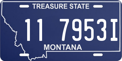 MT license plate 117953I