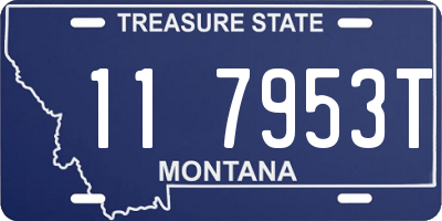 MT license plate 117953T