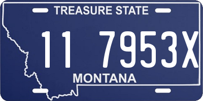 MT license plate 117953X