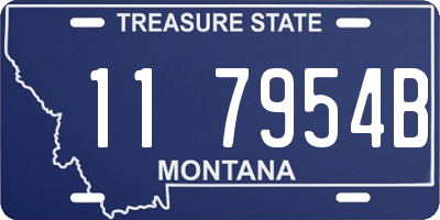 MT license plate 117954B