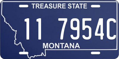 MT license plate 117954C