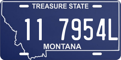 MT license plate 117954L