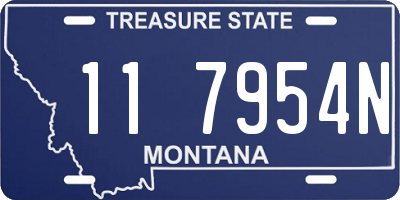 MT license plate 117954N