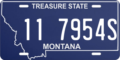 MT license plate 117954S
