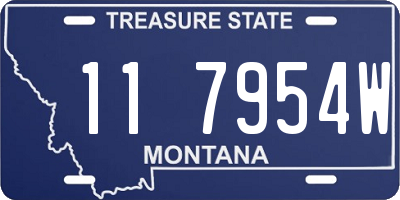 MT license plate 117954W