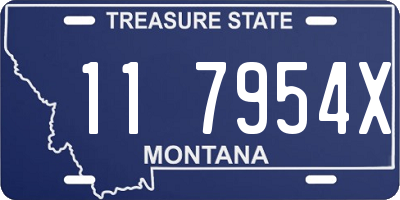 MT license plate 117954X