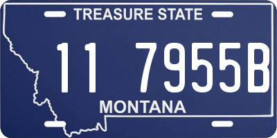 MT license plate 117955B