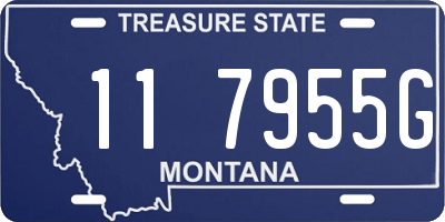 MT license plate 117955G