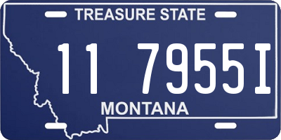 MT license plate 117955I