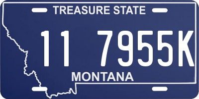 MT license plate 117955K