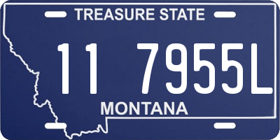 MT license plate 117955L