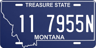 MT license plate 117955N