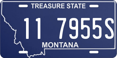 MT license plate 117955S