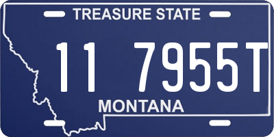 MT license plate 117955T