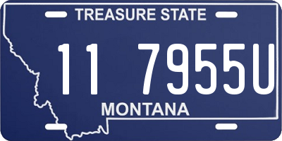 MT license plate 117955U