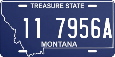 MT license plate 117956A