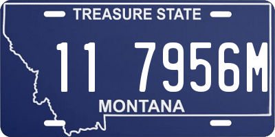 MT license plate 117956M