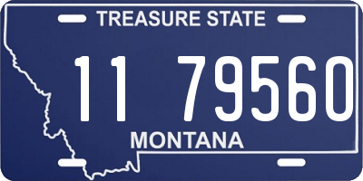 MT license plate 117956O