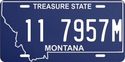 MT license plate 117957M
