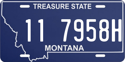 MT license plate 117958H